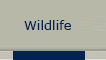 Camping and Fishing